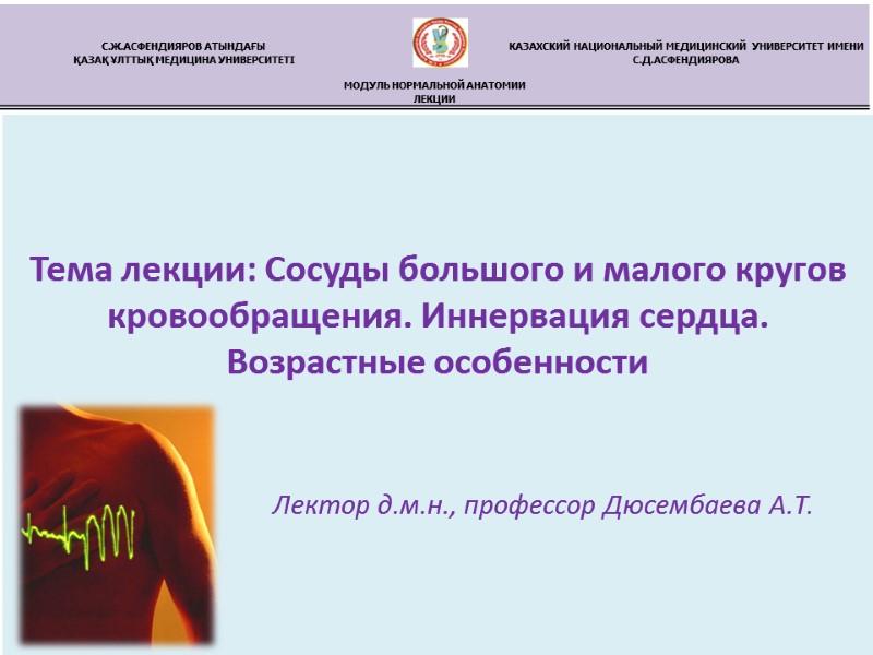 Тема лекции: Сосуды большого и малого кругов кровообращения. Иннервация сердца. Возрастные особенности  
